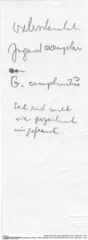 Etikett zuGoniodromites bidentatus (Reuss, 1858) (NHMW-AFW-GEO-BACHMAYER-FOTO-1990-0041-1723)
